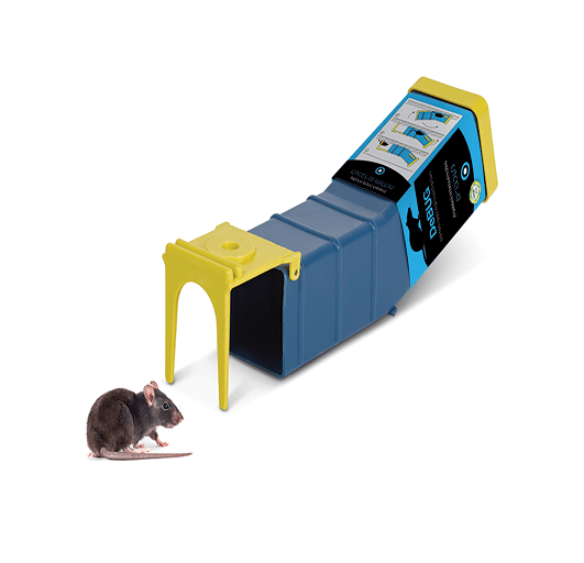 מלכודת נדנדה הומנית למכרסמים ועכברים