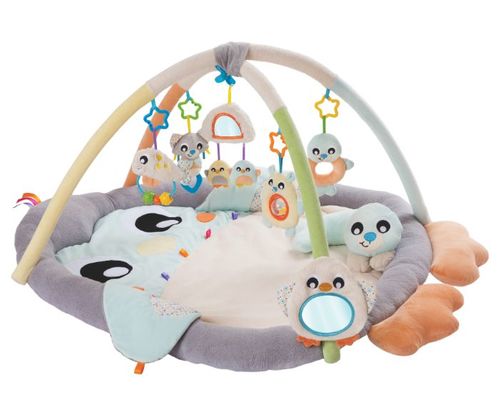 אוניברסיטה ומשטח פעילות פינגווין Playgro