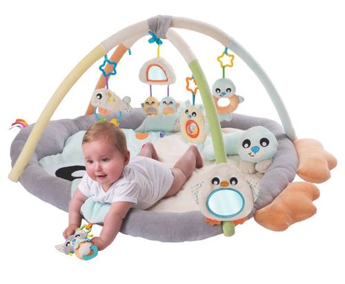 אוניברסיטה ומשטח פעילות פינגווין Playgro