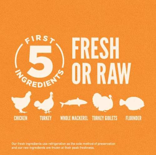 אוריג'ן לחתולים וגורי חתולים 5.4 ק