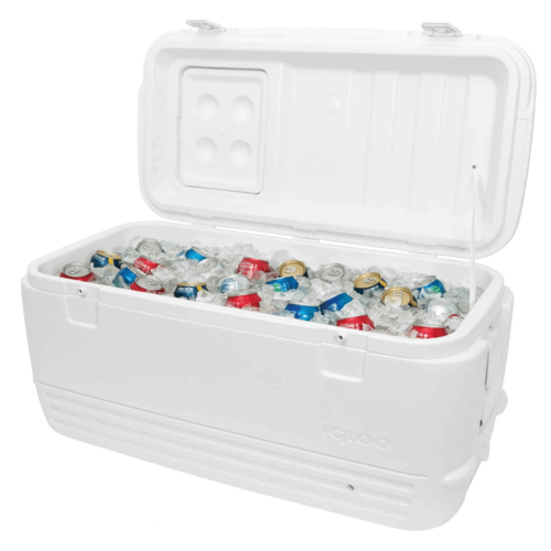 צידנית ענקית IGLOO