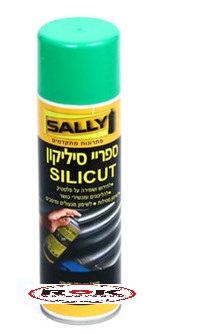 ספרי סיליקון הלל סלי 