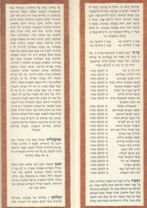 Illuminated Passover Haggadah