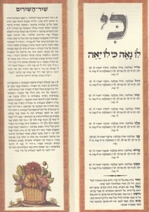 Illuminated Passover Haggadah