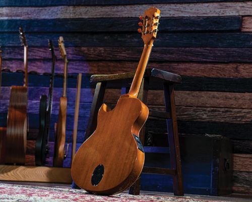 זווית נוספת Washburn FESTIVAL EACT42S