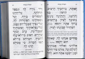 Siddur Ohr HaShalom - Afternoon and Evening Prayers