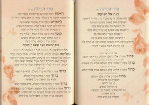 B'shir B'Kol Todah - Special Offer