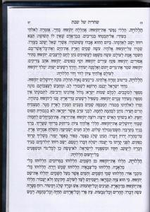 Five Books of Moses (Chumash)