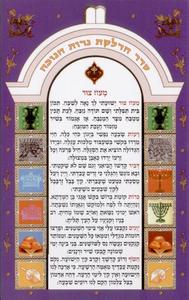 New Bencher for Chanukah