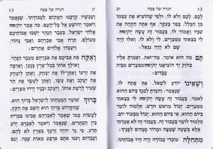 Decorated Pesach Haggadda