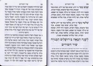 Decorated Pesach Haggadda