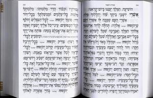 LeMaan Shemo B'ahavah - Set Machzorim - On Sale