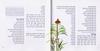 Adon HaSelichot - Selichot Booklet - New Design