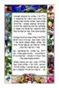 Seder Hoshanot