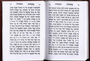 The Book of Tomer Devorah