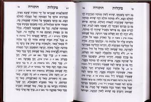 The Book of Tomer Devorah