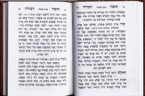 The Book of Tomer Devorah