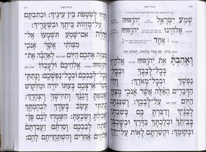 Complete LeMaan Shemo B'ahavah Siddur - Large