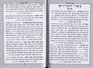 Megillat Esther - Kavanat HaLev