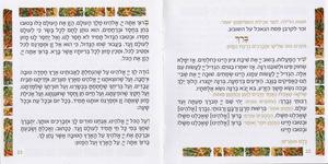 Passover Haggadah - Half Price