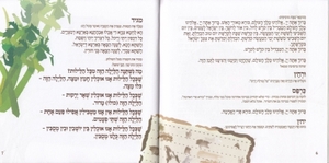 Haggadah for Passover- Super Deluxe Styling