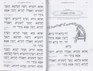 Passover Haggadah - White - Half Price