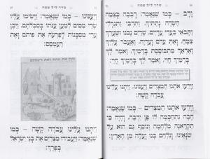 Passover Haggadah - White - Half Price