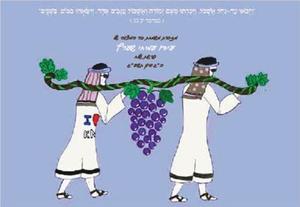 Song Book "Tov HaAretz" - Custom Cover