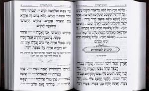 Siddur Kavanat HaLev for Tisha B'Av
