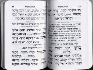 Siddur for Afternoon and Evening Prayers - Shaarei Tefilla