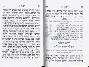Anneni Hashem- Booklet of prayer and petition