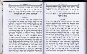 Siddur   Mincha Mariv Avodah She b’Lev