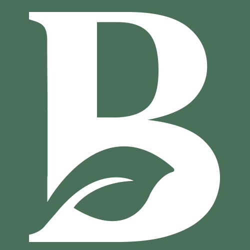 Brandja