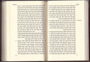 Koren Five Books of Torah and Prayers for Shabbat
