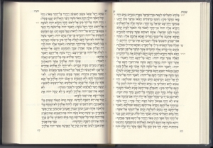 Koren Five Books of Torah and Prayers for Shabbat  - Ashkenaz