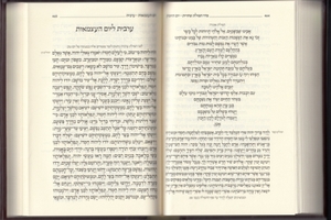 Koren Siddur Small size