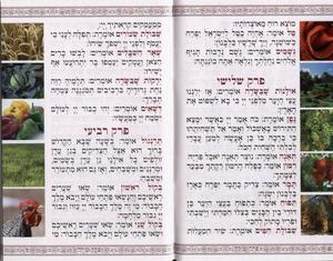 Passover Haggadah - Kavanat HaLev