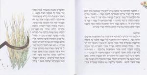 Siddur for Jerusalem Day