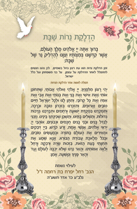 Passover Haggada Kavanat HaLev - Large