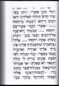 Rinat Yisrael Machzorim - Antique Leather Cover