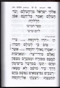 Rinat Yisrael Machzorim - Antique Leather Cover