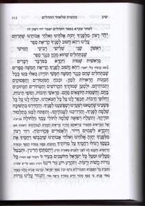 Rinat Yisrael Machzorim - Antique Leather Cover