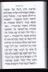 Rinat Yisrael Machzorim - Antique Leather Cover