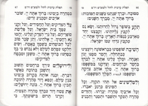 Aneinu - A collection of prayers and segulot