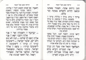 Aneinu - A collection of prayers and segulot