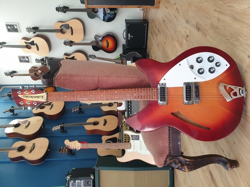 Rickenbacker 330 1999