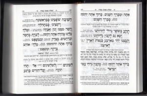 Shirat HaAretz Zemirot Book