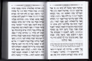 Beit HaMikdash Bencher - Extra Large