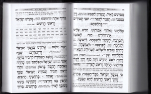 Beit HaMikdash Bencher - Extra Large