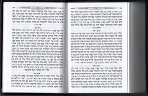 Beit HaMikdash Bencher - Extra Large